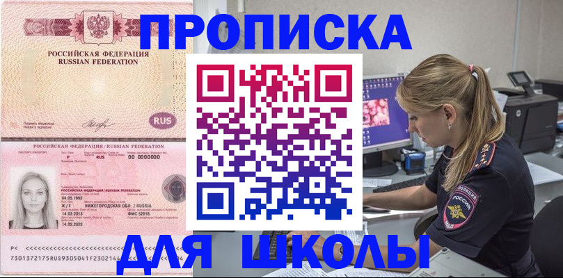 пропишу в квартире в Советской Гавани
